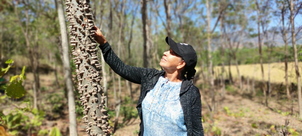 Farmer Justina Valdivia with her hand on a spiny cedar tree