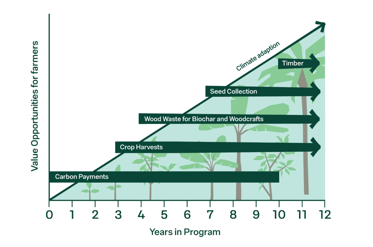 A diagram consisting of different Value opportunities for farmers in the CommuniTree Program