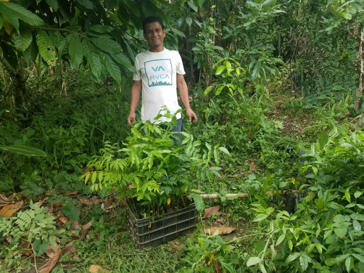 Farmer stands behind a crate of seedlings
