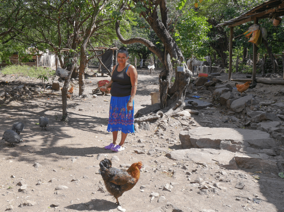 A woman in a black top and blue skirt feeds chickens outside