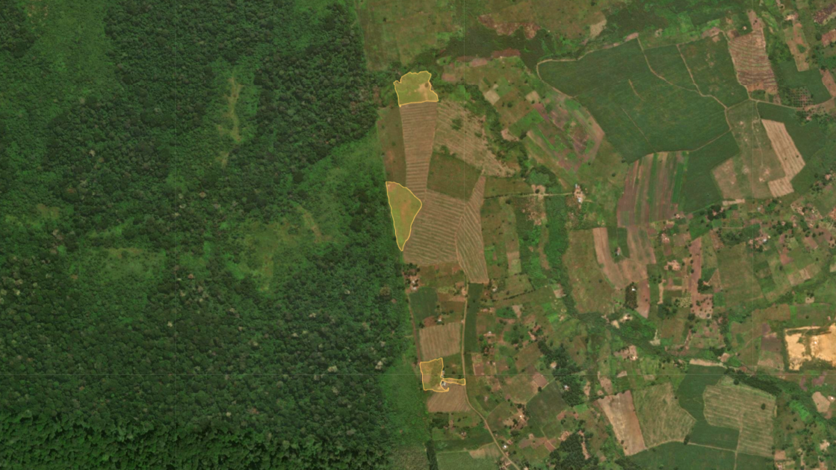 An aerial photo of land with three polygons shaded in yellow.