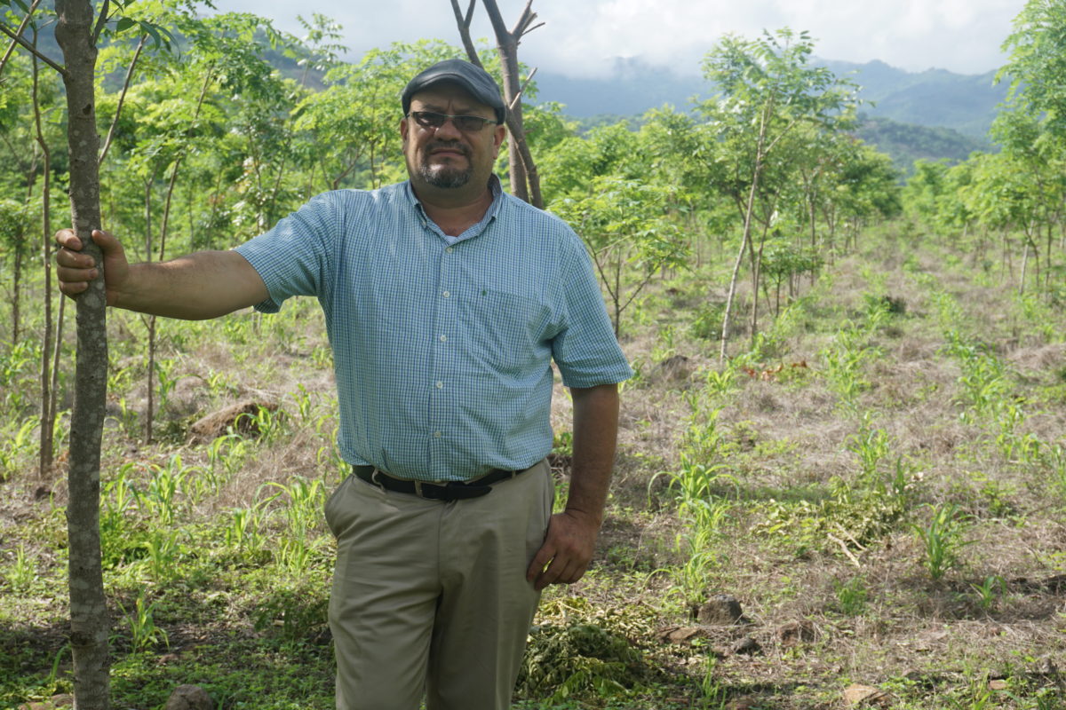 A farmer stands outside surrounded by young trees in the ground.