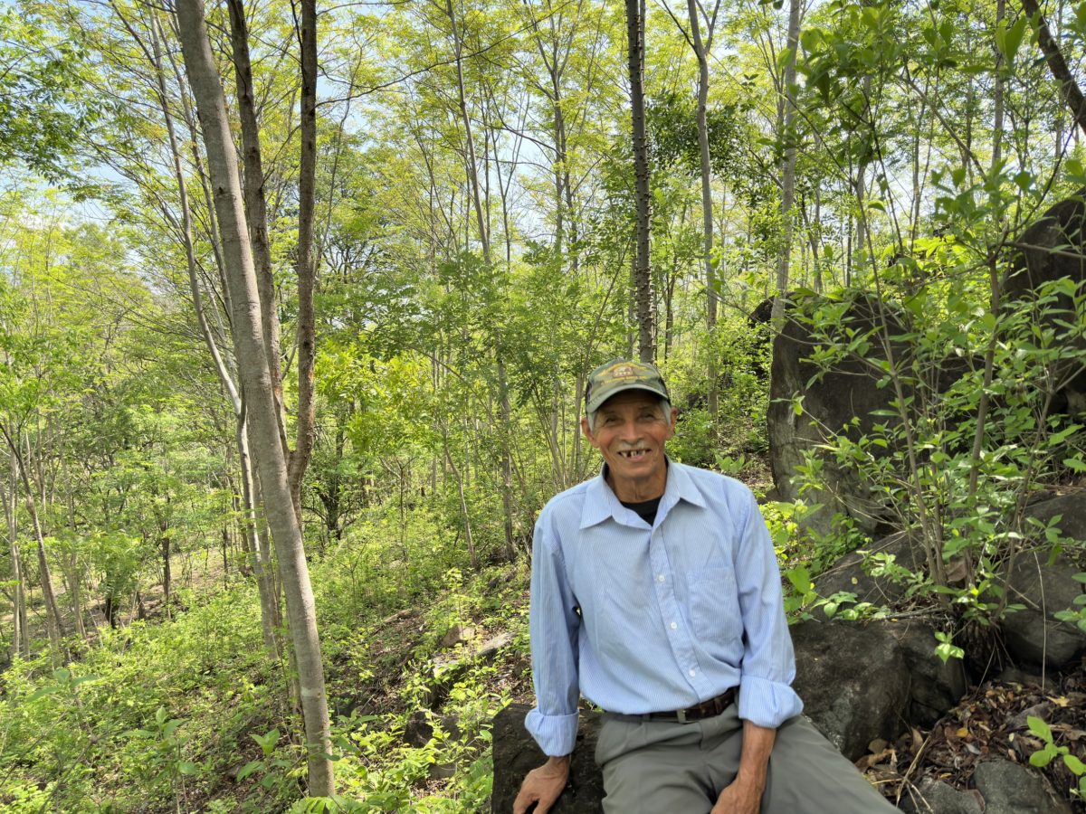 A man wearing a light blue shirt sits on a rock amongst a verdant forests. He smiles directly at the camera.