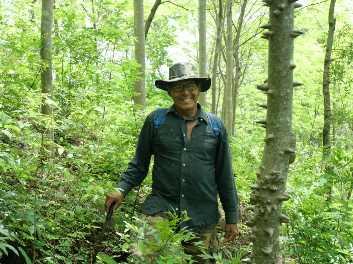 A man wearing a wide brimmed hat and blue shirt stands amongst a verdant forest. He smiles directly at the camera.