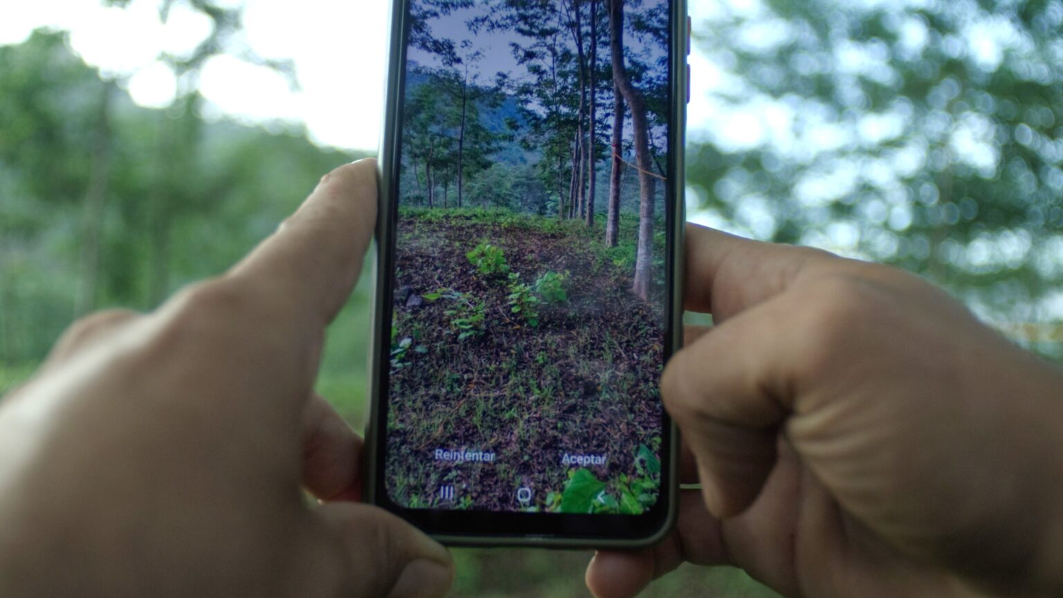 How Taking Root’s Restoration Intelligence Engine grows forests